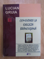 Lucian Gruia - Comentarii la exegeza brancusiana