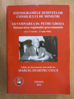 Marcel Dumitru Ciuca - Stenogramele sedintelor consiliului de ministri (volumul 1)