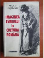 Andrei Oisteanu - Imaginea evreului in cultura romana