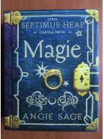 Angie Sage - Magie. Seria Septimius Heap, cartea intai