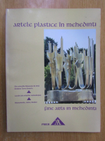 Artele plastice in Mehedinti