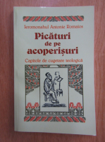 Antonie Romaios - Picaturi de pe acoperisuri. Capitole de cugetare teologica