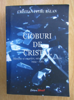 Anticariat: Cristian Petru Balan - Cioburi de cristal