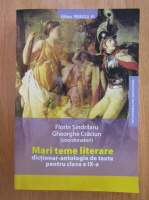 Florin Sindrilaru - Mari teme literare. Dictionar-antologie de texte pentru clasa a IX-a