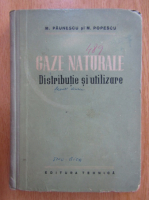 Mircea Paunescu - Gaze naturale