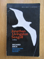 Richard Bach - Jonathan Livingstone Seagull