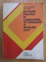 Constanta Brenner - Instruire practica in laboratorul de tehnologie si instalatii pilot