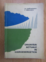 A. Cogalniceanu - Orientari actuale in hidroenergetica
