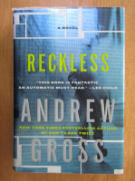 Anticariat: Andrew Gross - Reckless