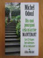 Michel Odoul - Dis-moi pourquoi cela m'arrive maintenant