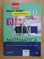Anton Negrila - Matematica. Algebra. Geometrie. Clasa a VIII-a, partea a II-a