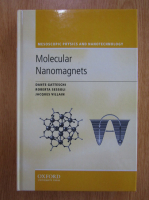 Dante Gatteschi - Molecular Nanomagnets