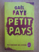 Anticariat: Gael Faye - Petit pays