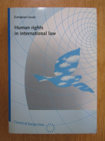 Human Rights in International Law