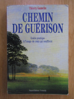 Thierry Gamelin - Chemin de guerison