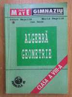 Anton Negrila - Algebra, geometrie. Clasa a VIII-a, partea II