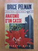 Brice Pelman - Anatomie d'un casse