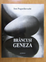 Ion Pogorilovschi - Brancusi. Geneza