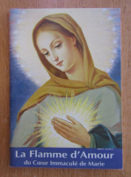 La flamme d'amour du coeur immacule de Marie