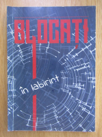 George Simion - Blocati in labirint