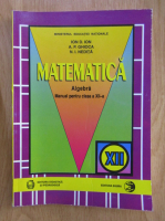Ion D. Ion - Matematica. Algebra. Manual pentru clasa a XII-a