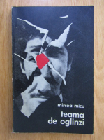 Mircea Micu - Teama de oglinzi