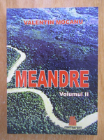 Valentin Mocanu - Meandre (volumul 2)