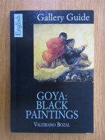 Valeriano Bozal - Goya. Black Paintings