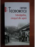 Cristian Teodorescu - Medgidia, orasul de apoi