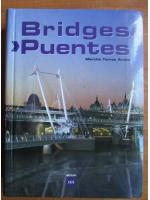 Martha Torres Arcila - Bridges. Puentes