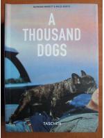 Raymond Merritt - A Thousand Dogs
