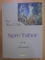 Ilarion V. Felea - Spre Tabor, volumul 3. Luminarea