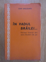 Ioan Brezeanu - In vadul Brailei...