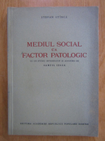Stefan Stinca - Mediul social ca factor patologic