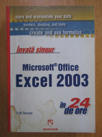 Trudi Reisner - Excel 2003 in 24 de ore