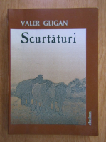 Valer Gligan - Scurtaturi