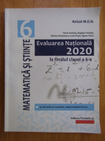 Florin Antohe - Evaluarea Nationala 2020 la finalul clasei a 6-a