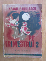 Neagu Radulescu - 4 pe trimestrul 2