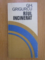 Anticariat: Gheorghe Grigurcu - Raul incinerat