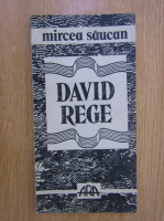 Mircea Saucan - David Rege