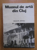 Negoita Laptoiu - Muzeul de arta din Cluj
