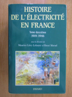 Maurice Levy Leboyer - Histoire de l'electricite en France (volumul 2)