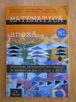 Solomon Marcus, Sorin Radulescu - Rezolvarea problemelor din manualul de matematica pentru clasa a XII-a. M1