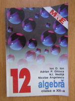 I. D. Ion, Adrian Ghioca - Algebra. Clasa a XII-a