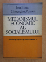 Ion Blaga - Mecanismul economic al socialismului