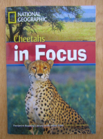 Anticariat: National Geographic. Cheetahs in Focus 