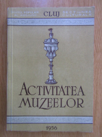 Anticariat: Activitatea muzeelor (volumul 2)