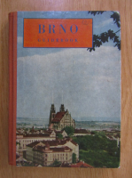 Brno. Guidebook