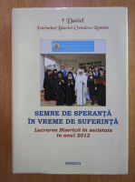 Daniel Patriarhul Bisericii Ortodoxe Romane - Semne de speranta in vreme de suferinta