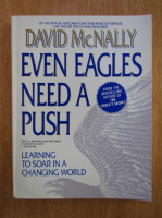 David McNally - Even Eagles Need a Push 
